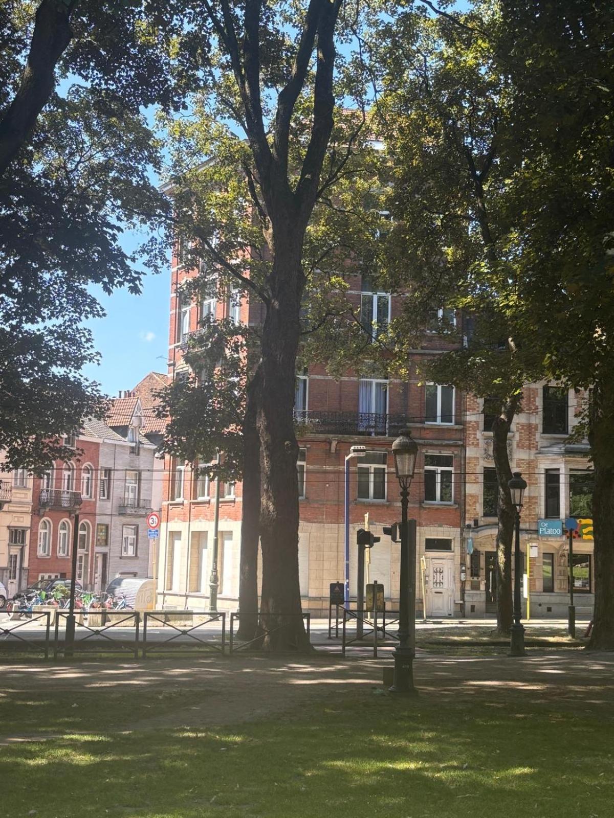 Studio Nahida, Brussels